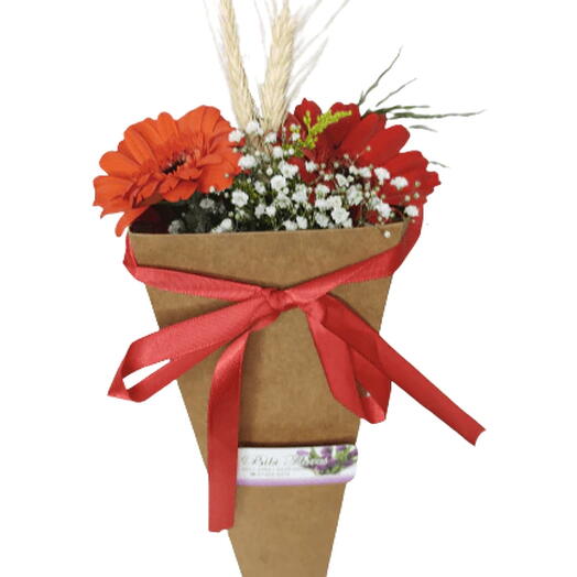 Gerberas in Bag
