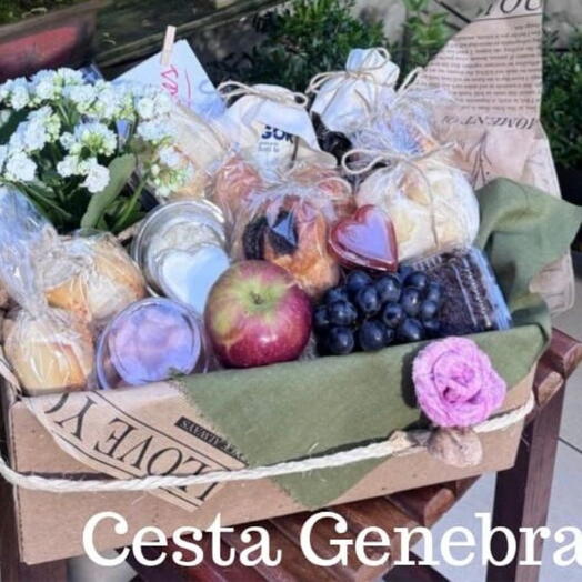 Cesta Genebra