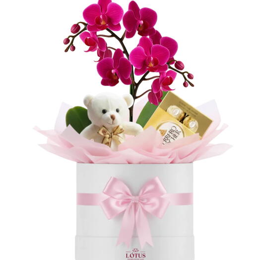 Box de Orquidea com Pitico e Ferrero Rocher
