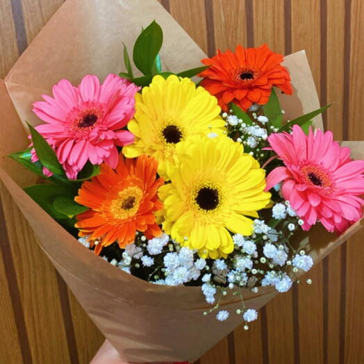 6 Gerberas Coloridas