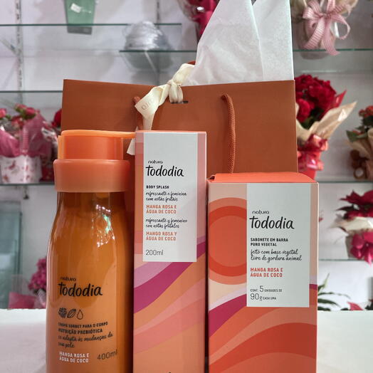 Kit Natura Manga Rosa e Agua de coco