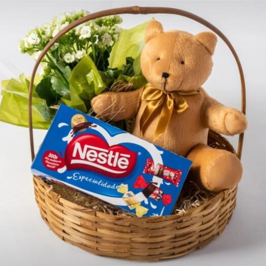 Cesta com kalanchoe plantada, Pelucia e Chocolate