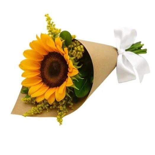 Girassol Solitario e Folhagem