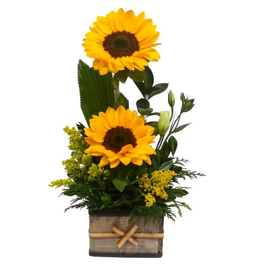 Arranjo de Girassol no Cachepot