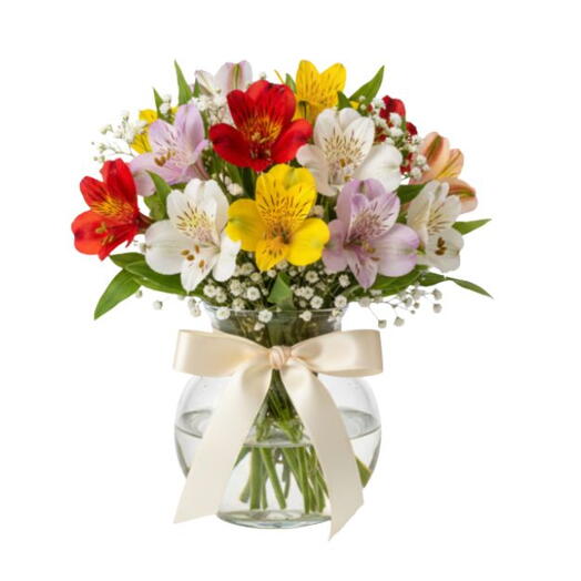 Mini Astromelias Coloridas no Vaso