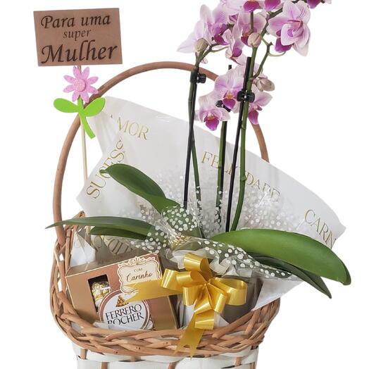 Cesta orquidea encanto