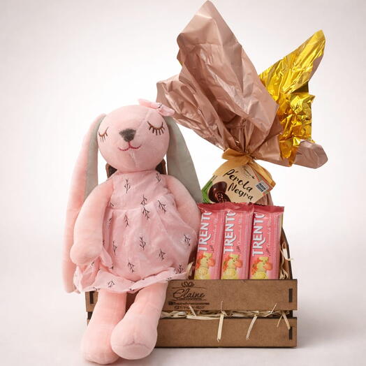 Cesta Encanto Coelhinha Rosa C44