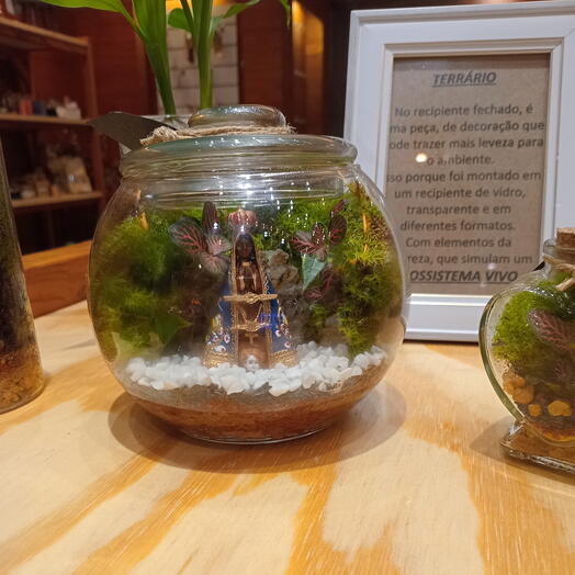 Terrario Nossa Senhora Aparecida