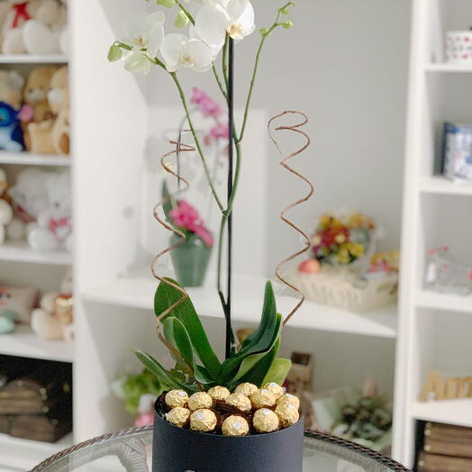 Box Orquidea e Ferrero