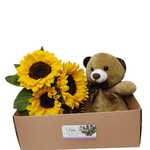 Sunflower Box S