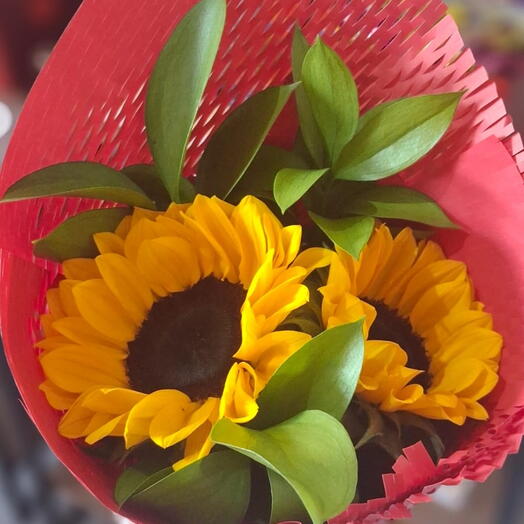 Buquê Duplo de Girassois