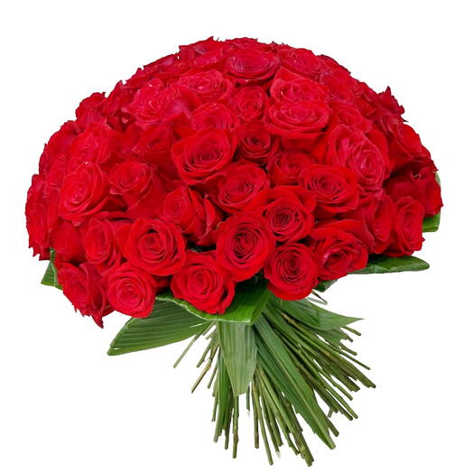 Buquê  Luxo de 100 Rosas Importadas