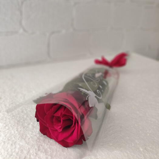 Rosa Unitaria Vermelha