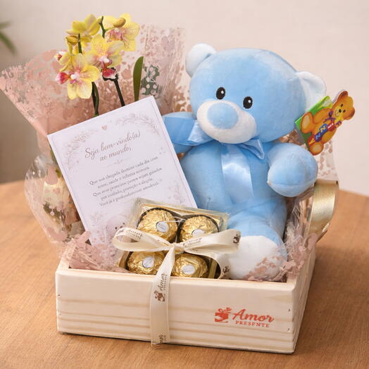 Cesta Boas-Vindas com Ursinho   Orquidea