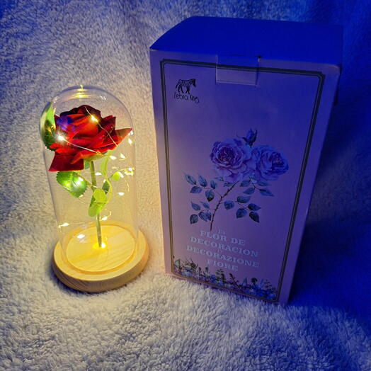 Rosa Eterna Cupula Vidro