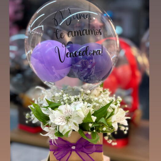 Box Delicadeza Astromelias   Mini Bubble Personalizado