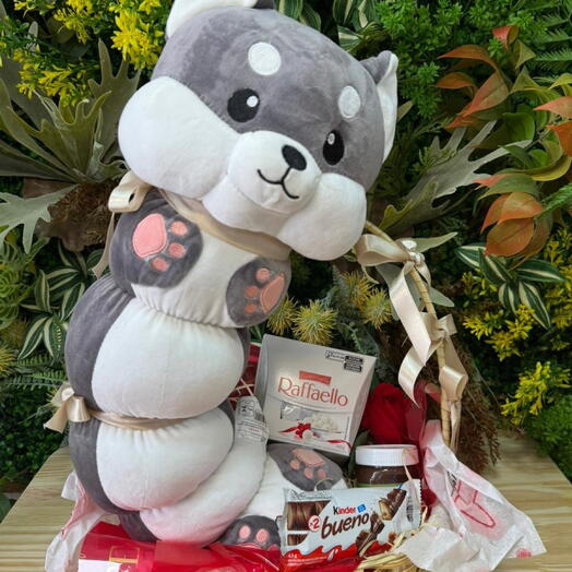 Cesta Cachorro Comprido