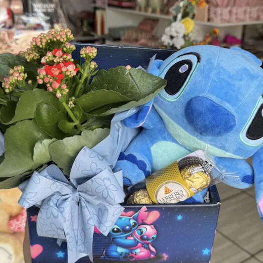 Cesta Stitch com Kalanchoe