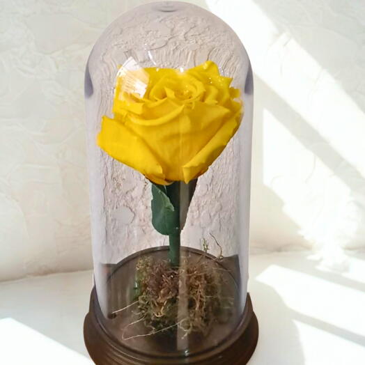 ROSA ENCANTADA AMARELA