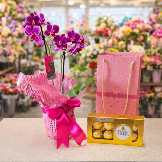 Cesta Feliz dia com Mini Orquidea e Ferrero Rocher