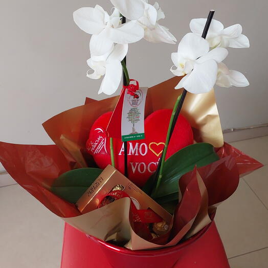 Orquidea c/chocolate no balde vernelho