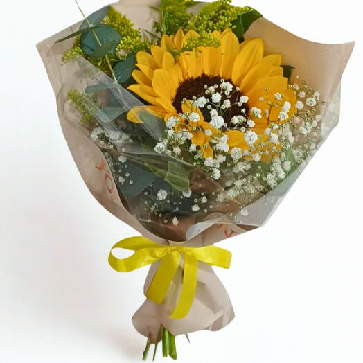 GIRASSOL PARA PRESENTE