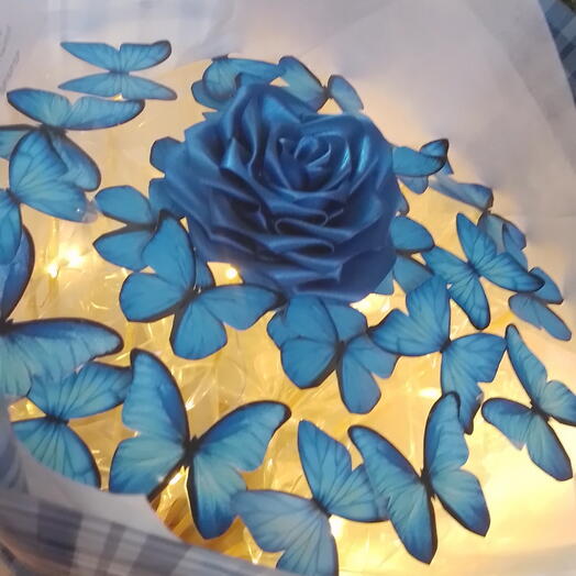 Buque de Borboletas Pequeno