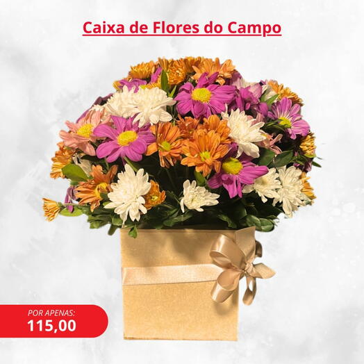 Caixa de Flores do campo