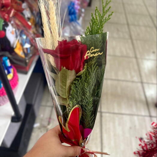 Rosa unitaria Classic