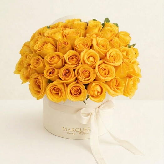Box Luxo 50 rosas Amarelas