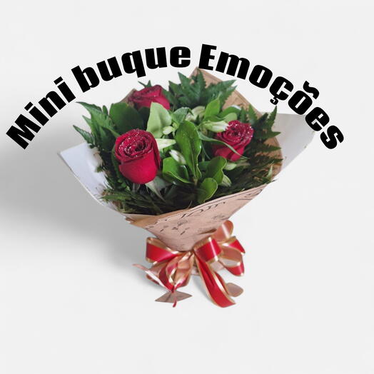 Mini Buque Emoções