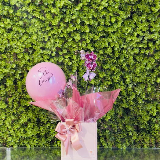 Orquidea - Elegância Floral + Balão Personalizado