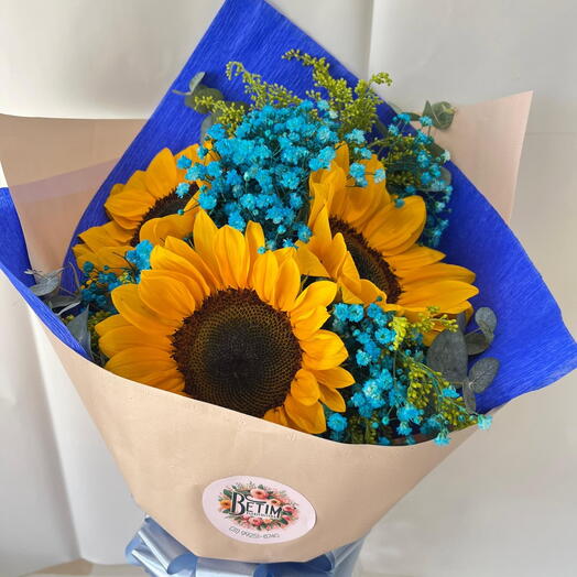 Girassois e Complementos