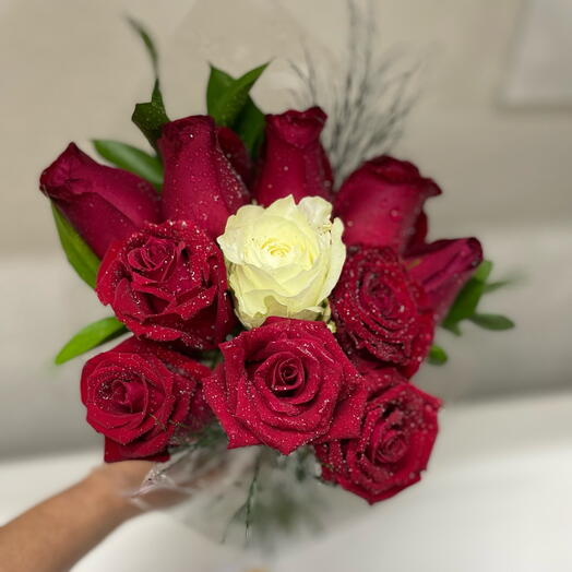 Entre Todas Escolhi Você