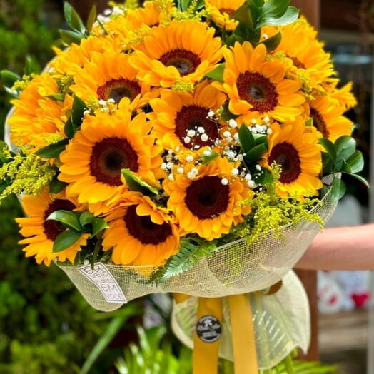 Buquê  Luxo 18 Girassois em Tela
