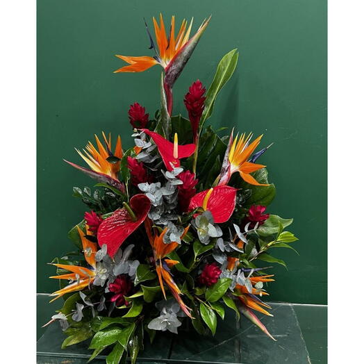 Arranjo Beleza Tropical