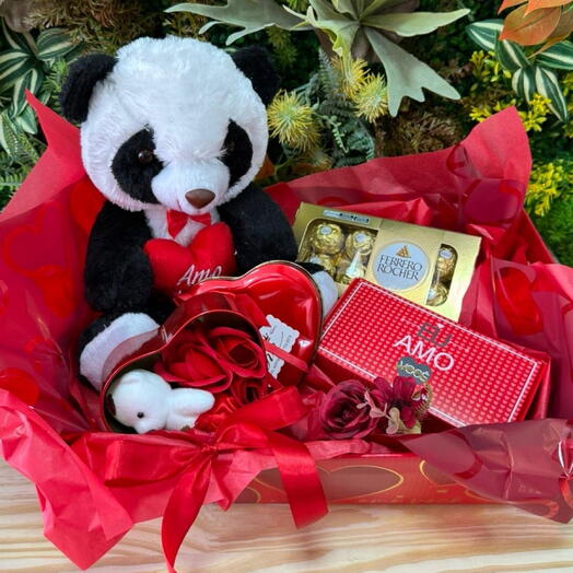 Caixa Cartonada Panda M