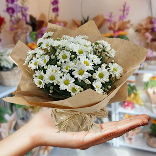 Margaridinha Plantada Branca com Papel Kraft