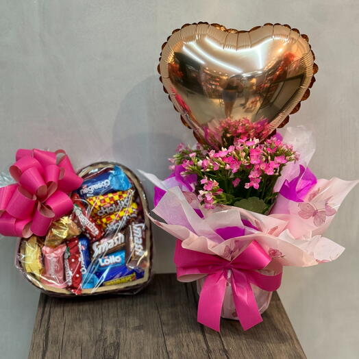 Kalanchoe com Coração de Chocolate