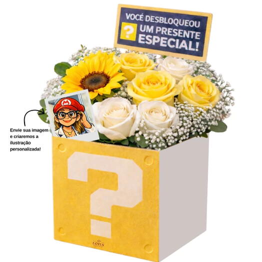 Box Super Mario no Cachepo