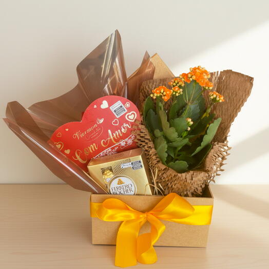 Caixa Presente com Calanchoe