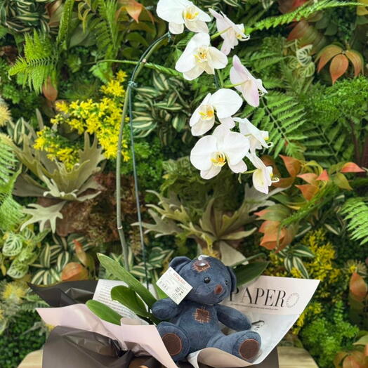 Orquidea Branca com Pelucia