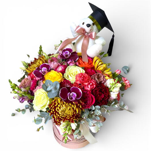 Box de Formatura com Urso