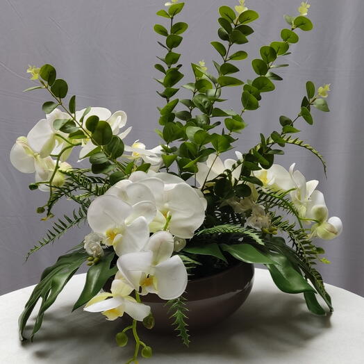 vaso de orquideas brancas+ folhas de costela Adão