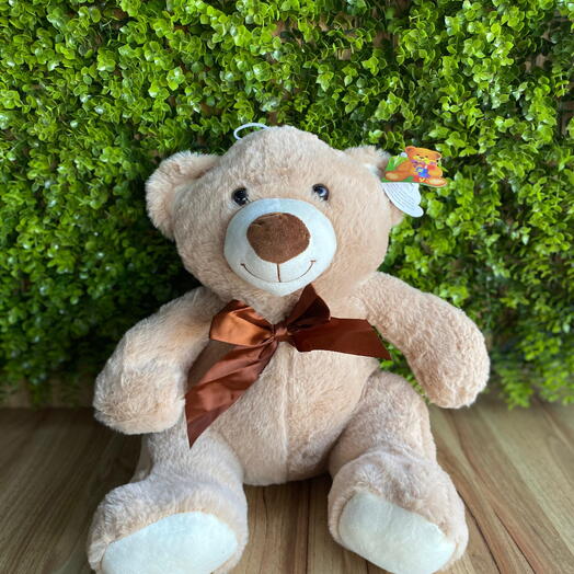 Urso Ted 40cm Temos Varias Cores