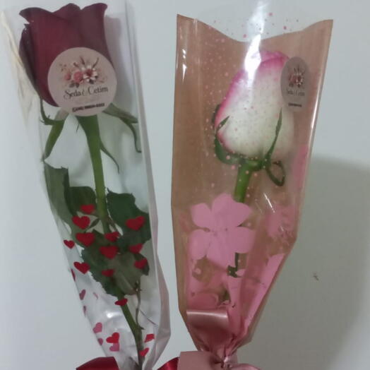 Rosa Unidade Sem Acabamentos