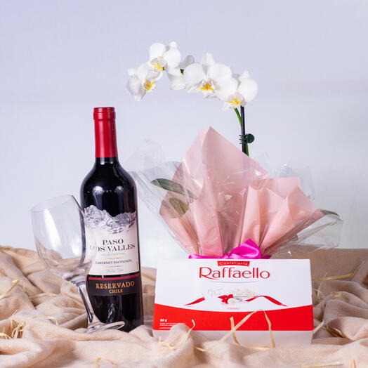 Kit Orquidea e Vinho Tinto