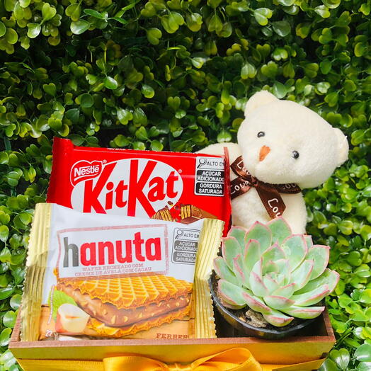 Mini Cesta Doce com Ursinho e Suculenta