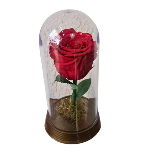 Rosa Encantada- Vermelha