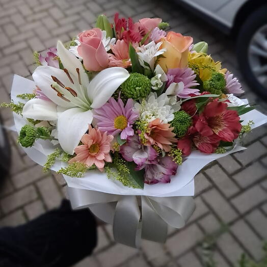 Box Primavera